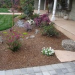 Outdoor Patio Ground Cover Ideas
